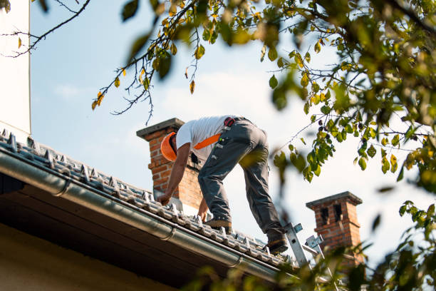 Best Storm Damage Roof Repair  in Lawson, MO