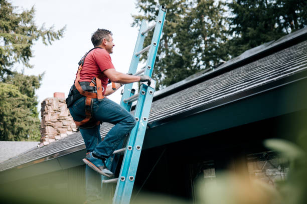 Best Roof Maintenance and Cleaning  in Lawson, MO