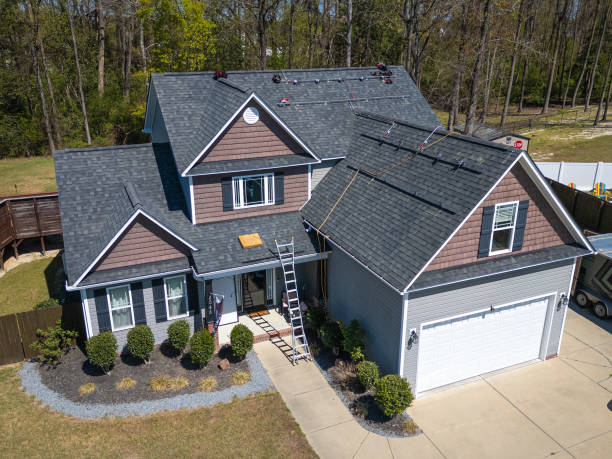 Best Roof Moss and Algae Removal  in Lawson, MO